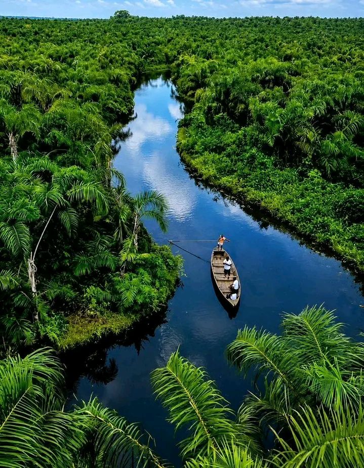 Rivière Noire — Porto-Novo